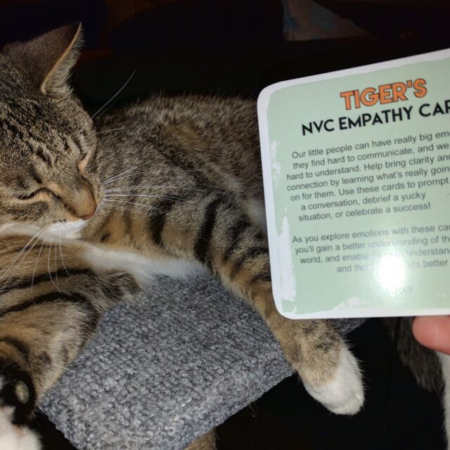 I remember this one time, the neighbour's cat helped me with marketing.
https://newinsight.co.nz/shop/tigers-nvc-empathy-cards/